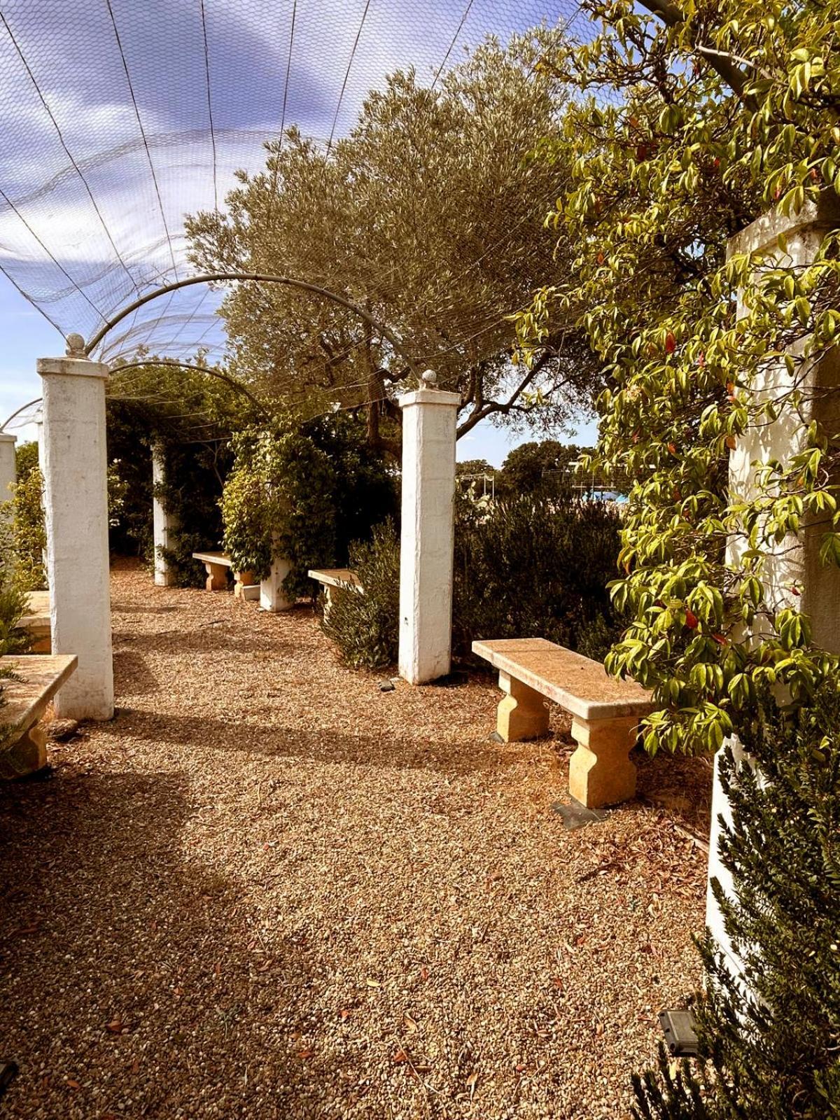Agriturismo La Civetta Gioia Del Colle Exterior photo